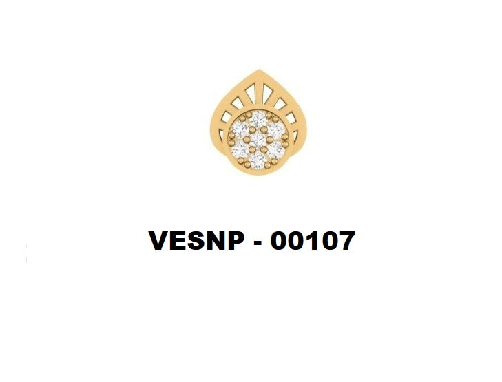 VESNP 107