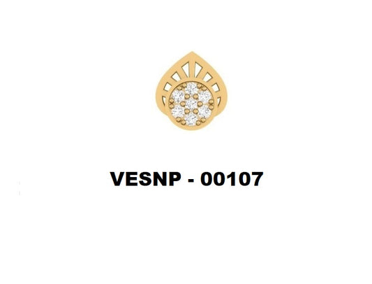VESNP 107