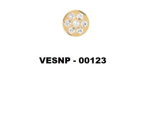 VESNP 123