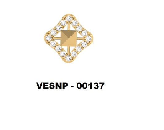 VESNP 137